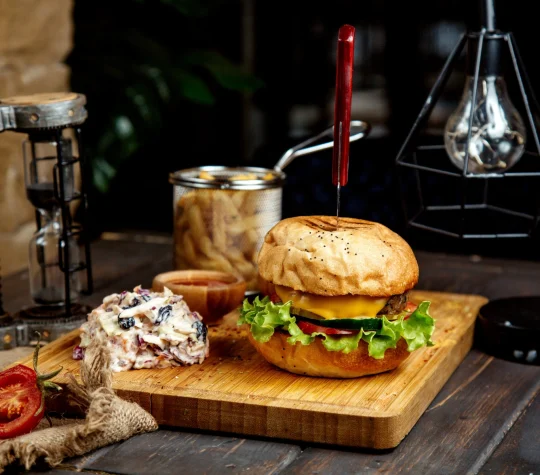 Juicy burger and fries at The Hamburger Factory Poway